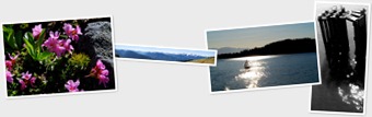 View Olympic Peninsula